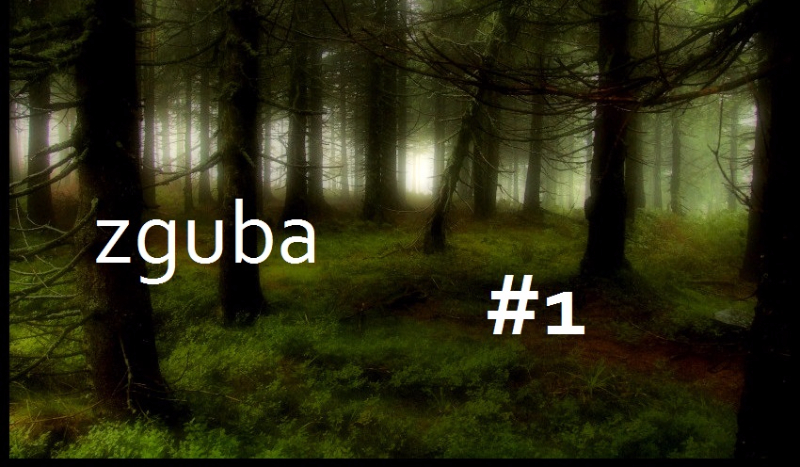 Zguba #1