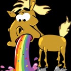 KonRafalWrozbitaMaciej