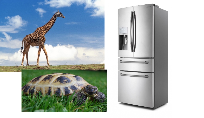 Test na inteligencję.