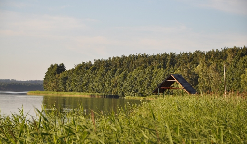 Koń? Czy to twoja bajka