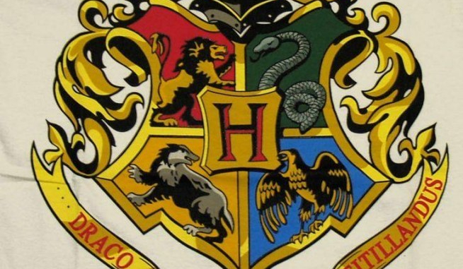 Co wolisz tylko dla potterhead!