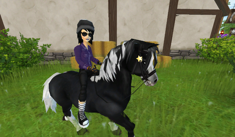 Jakim koniem Jesteś ?