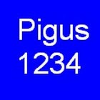 Pigus1234