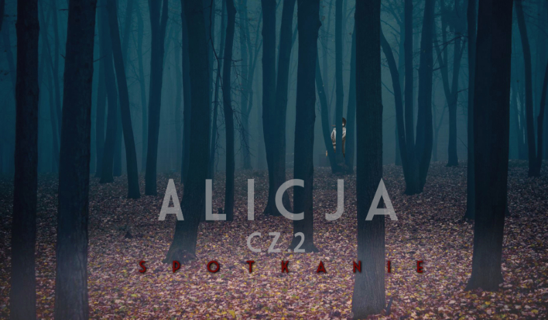 Alicja cz. 2 – Spotkanie