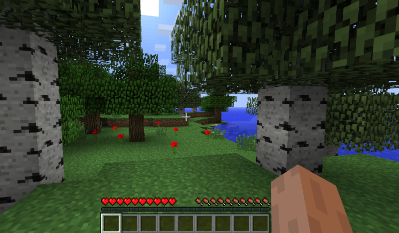 Zgadywanka o minecraft