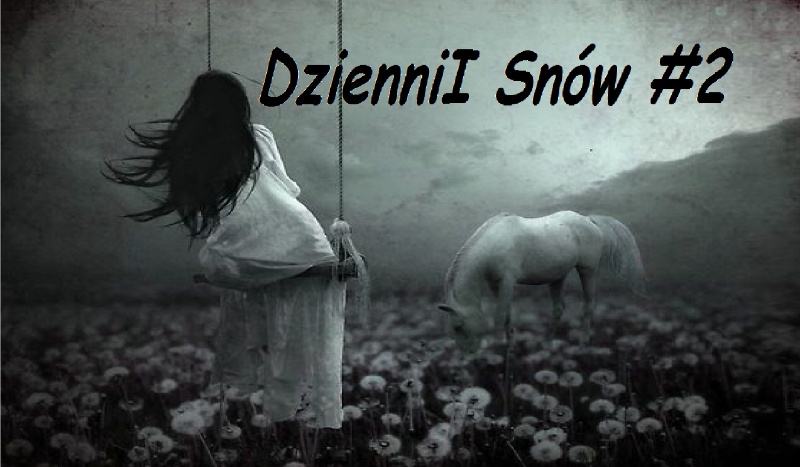 Dzienniki Snów #2