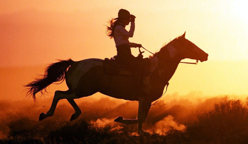 Twoja przygoda z końmi #1