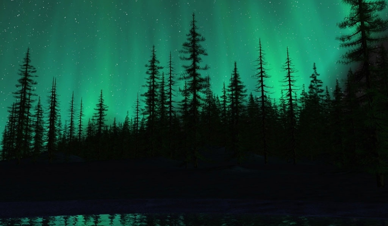 Dziwna przygoda cz.1