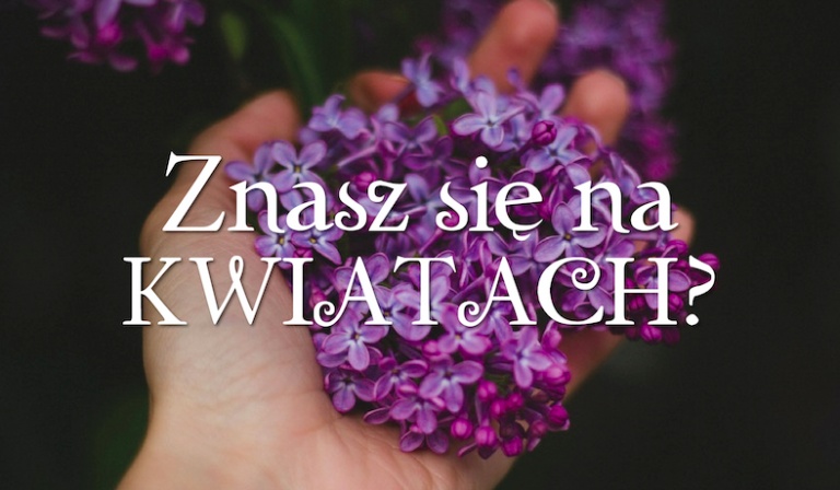 Czy znasz się na kwiatach?