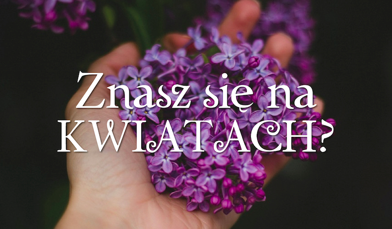 Czy znasz się na kwiatach?