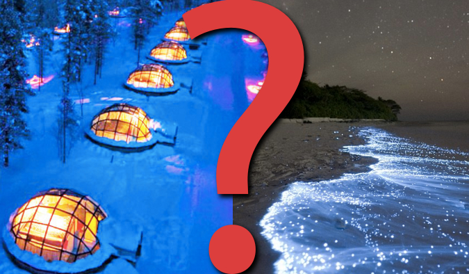 14 pytań z serii „Co wolisz?”