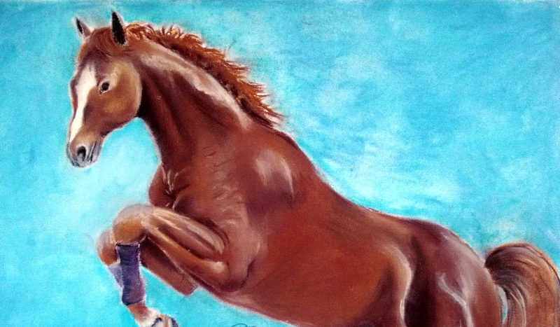 Jak dobrze znasz Alcię Online?