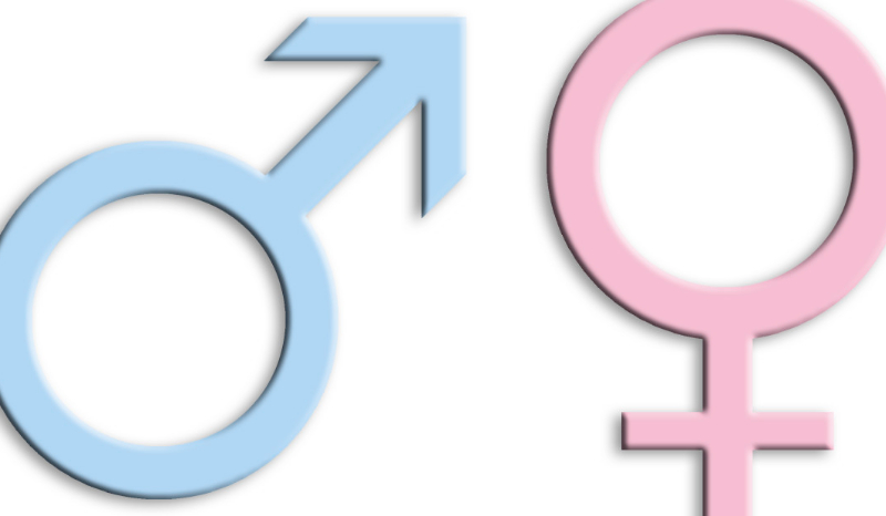 Czy zgadniemy twoją płeć ?