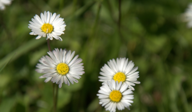 Jak dobrze znasz siebie?