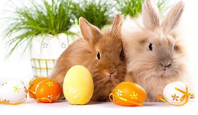 jaki yobutuber do cb pasuje