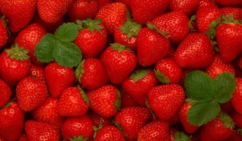 Jakim owocem jesteś