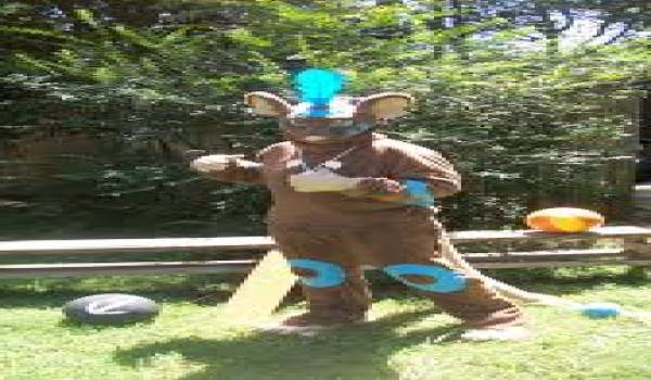 Transformice cafe quiz