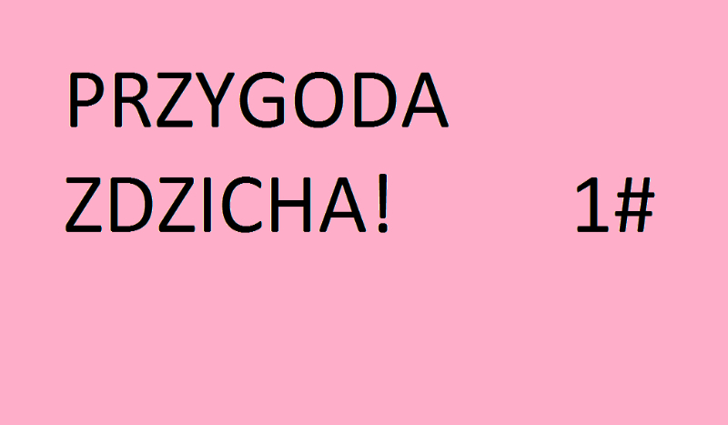 Przygoda Pana Zdzicha
