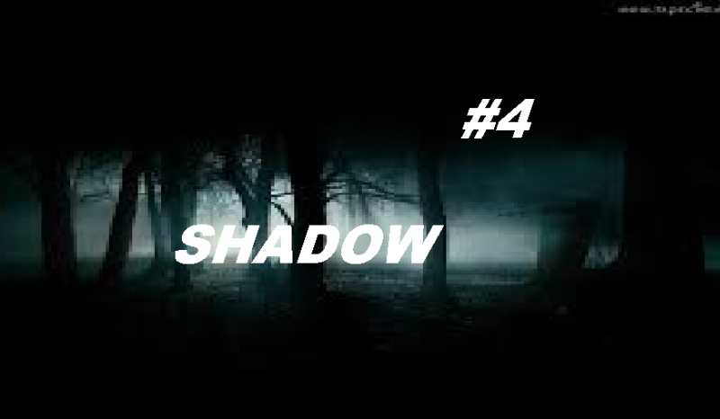 Shadow #4