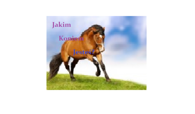 Jakim koniem jesteś?
