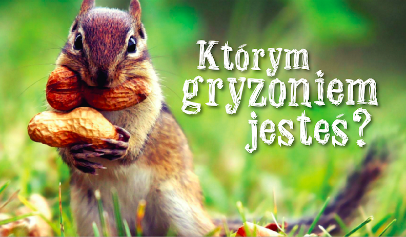 Którym gryzoniem jesteś?
