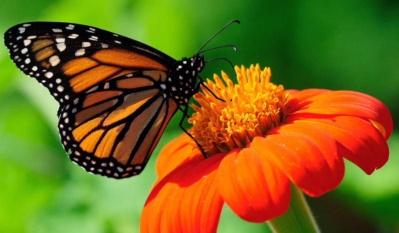 jaką jesteś osobą ???