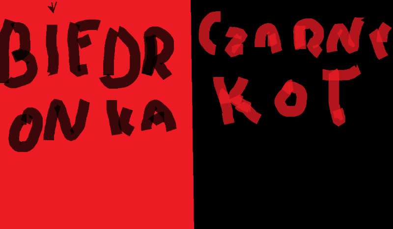 Jak dobrze znasz Biedronkę i czarnego kota | sameQuizy