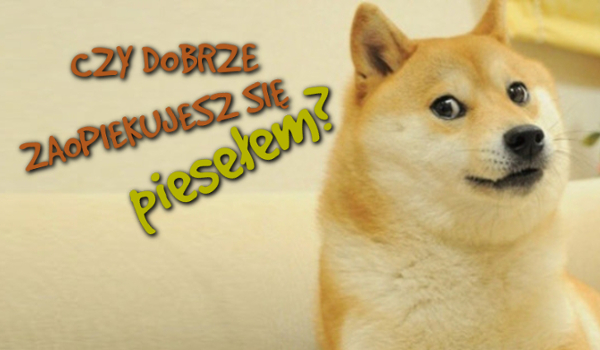 Czy dobrze zaopiekujesz się Piesełem?