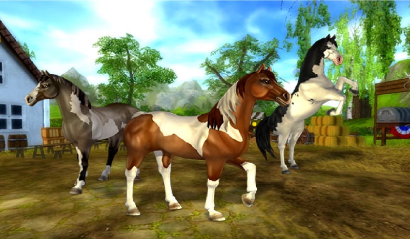 Ile wiesz o StarStableOnline