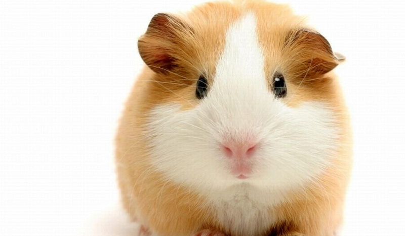 Moje realne życie #1