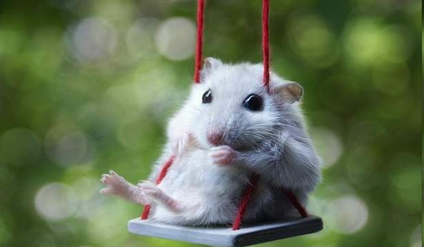 przygoda z debilem #1