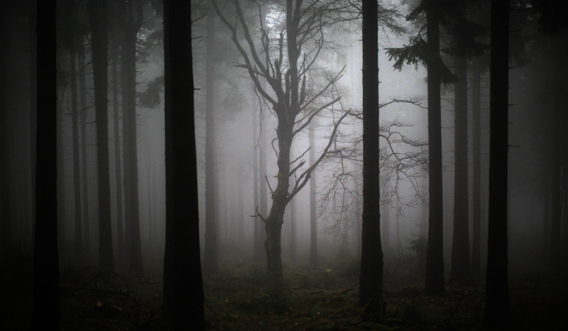 Rywalizacja. Bloody Painter #2