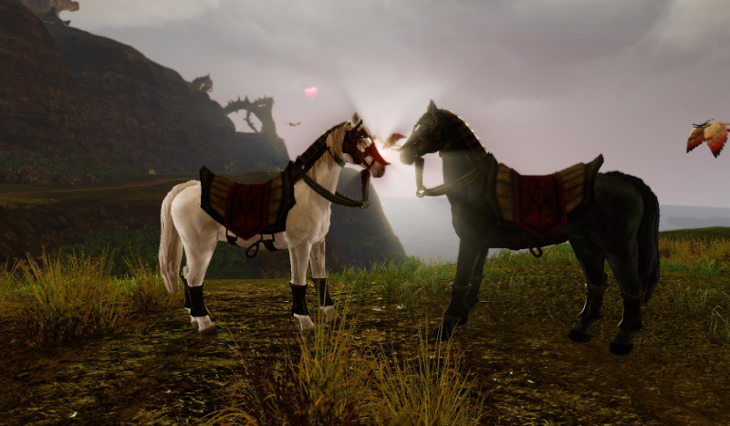 Jak dobrze znasz Star Stable Online ?