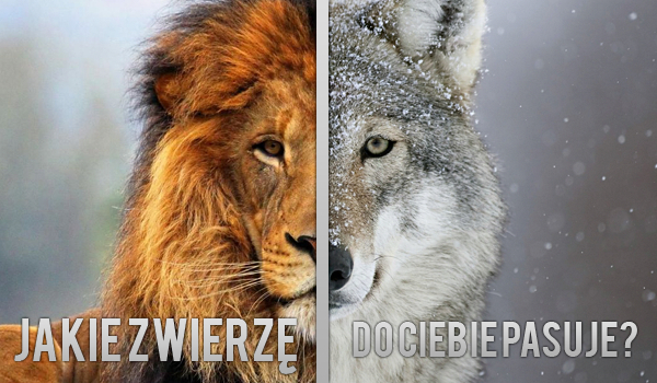 Jakie zwierzę do Ciebie pasuje?