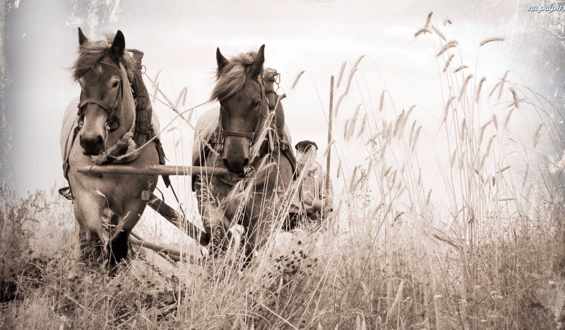 Koszmarna ucieczka #2