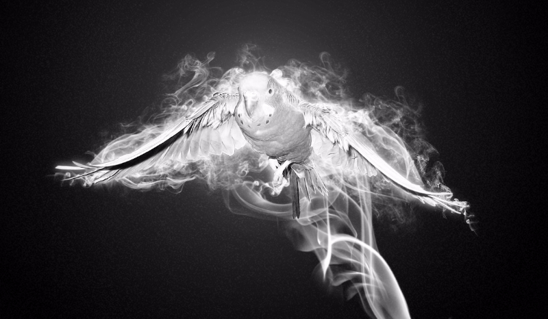 Czy przeżyjesz noc w Hotelu?