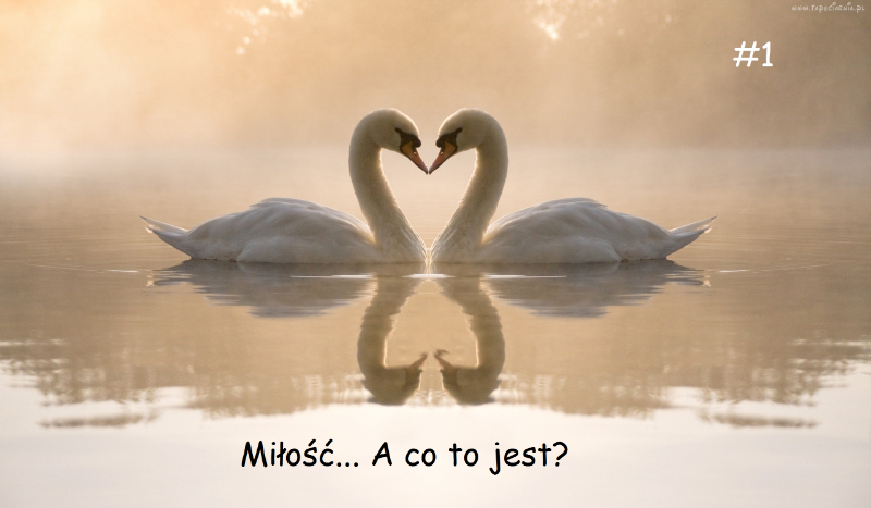 Miłość… A co to jest?