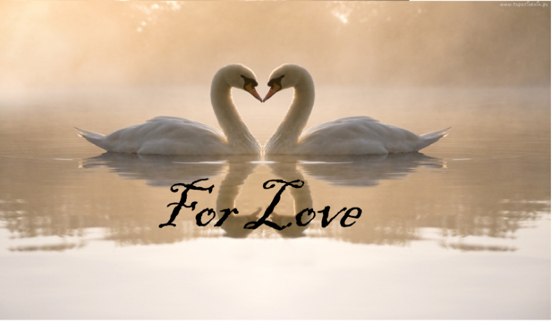 For Love #4 [KONIEC]