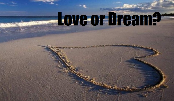 Love or Dream? cz1