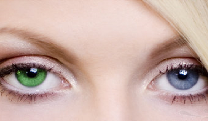 Jakie masz spojrzenie ?