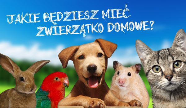 Jakie powinieneś mieć zwierzątko domowe?