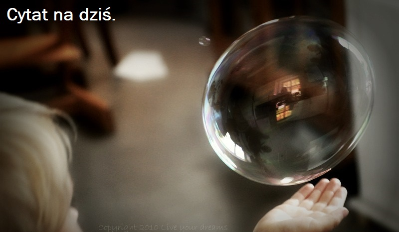 Cytat na dziś.