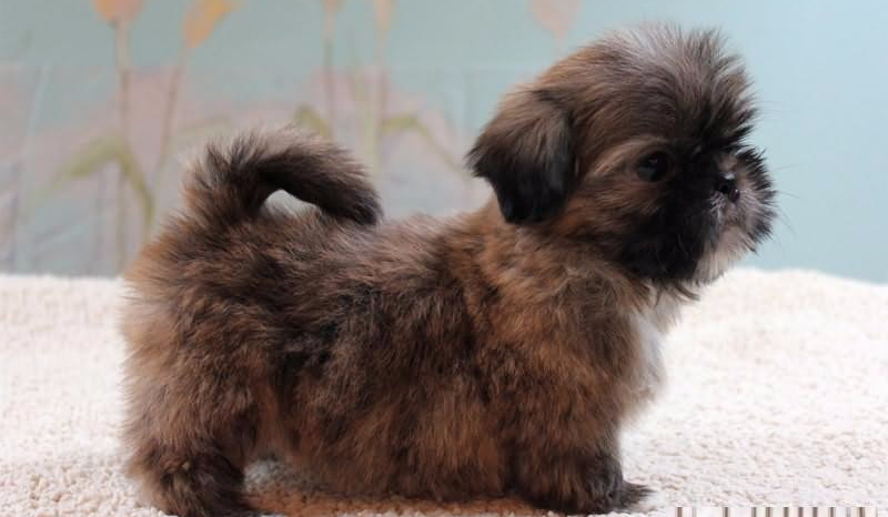 Romantyczna Historia 4#