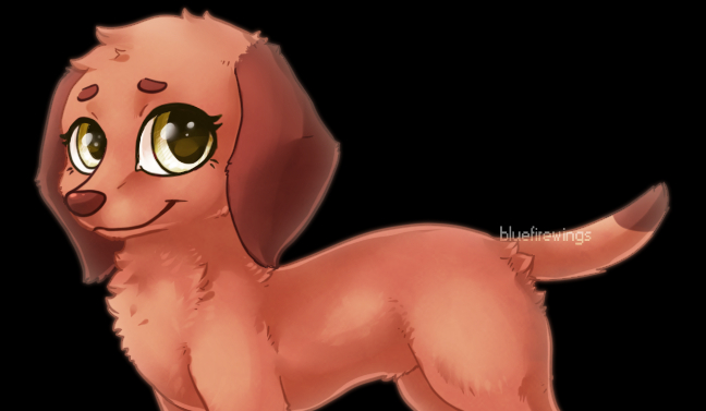 test z lektury pt ,,daleki rejs”