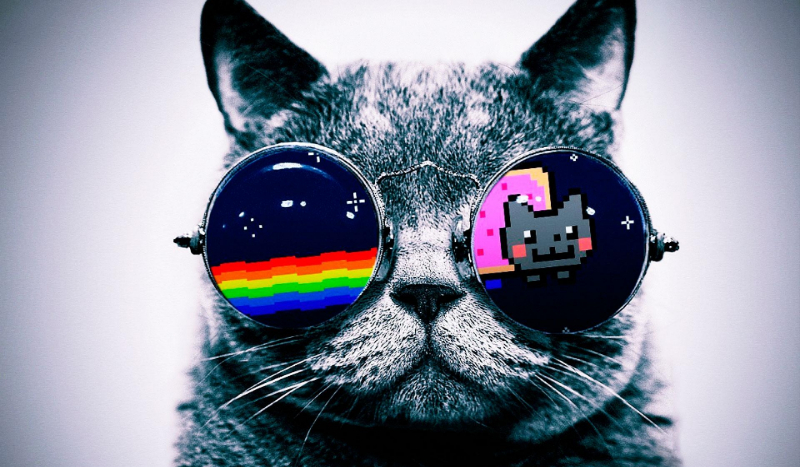 Jakim jesteś uczniem?