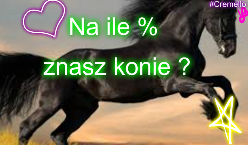 Na ile % znasz konie?
