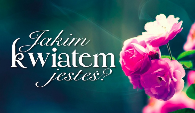 Jakim kwiatem jesteś?