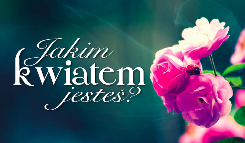 Jakim kwiatem jesteś?