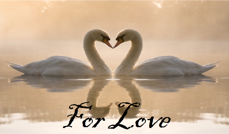 For Love #2