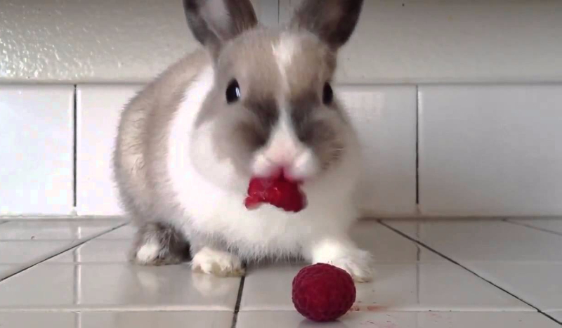 DLA KLASY 6A NA HISTORIĘ